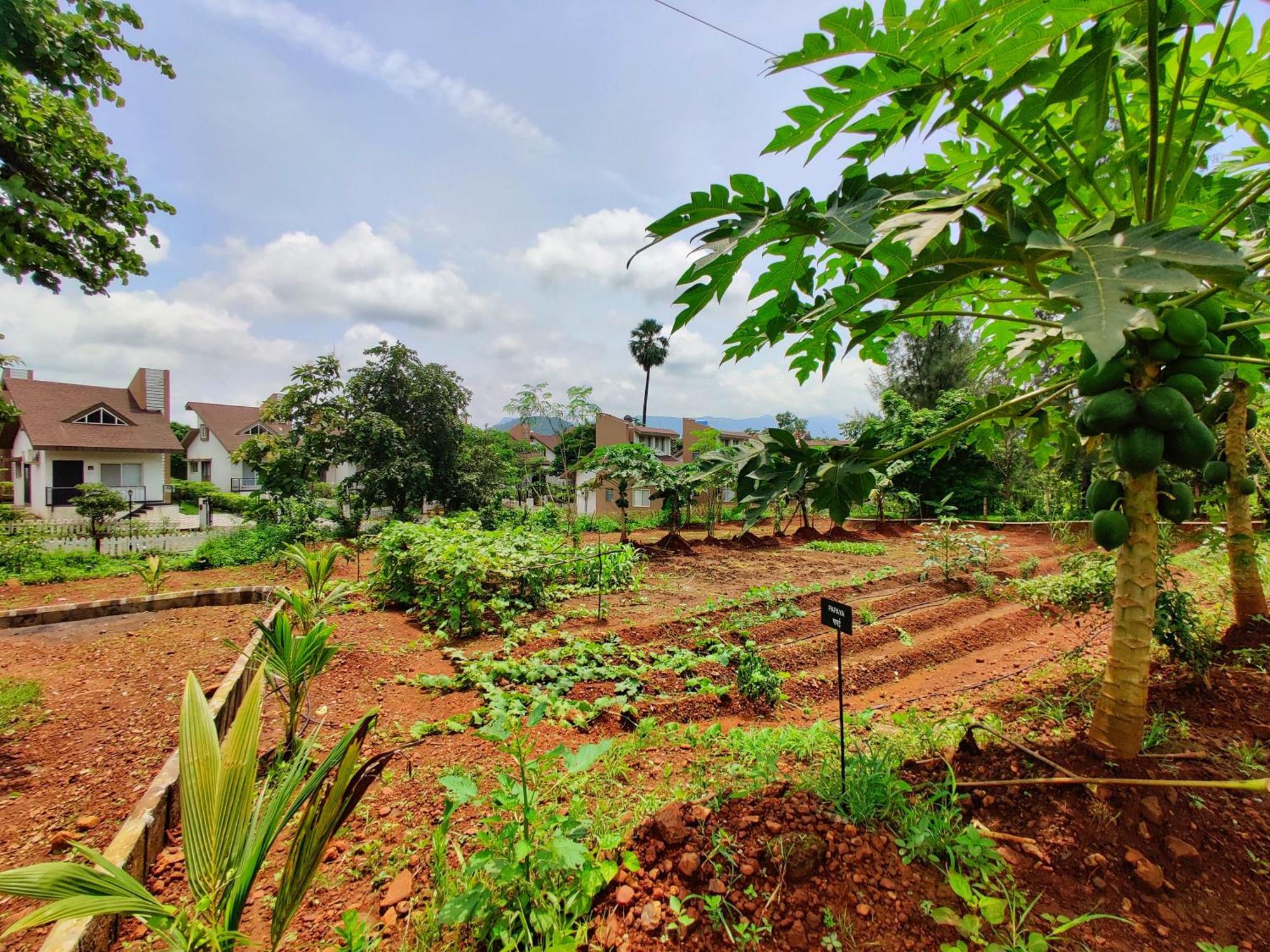 Pushpam Sanskruti Resort Karjat - A Pure Veg Resort Dhamni Exterior foto